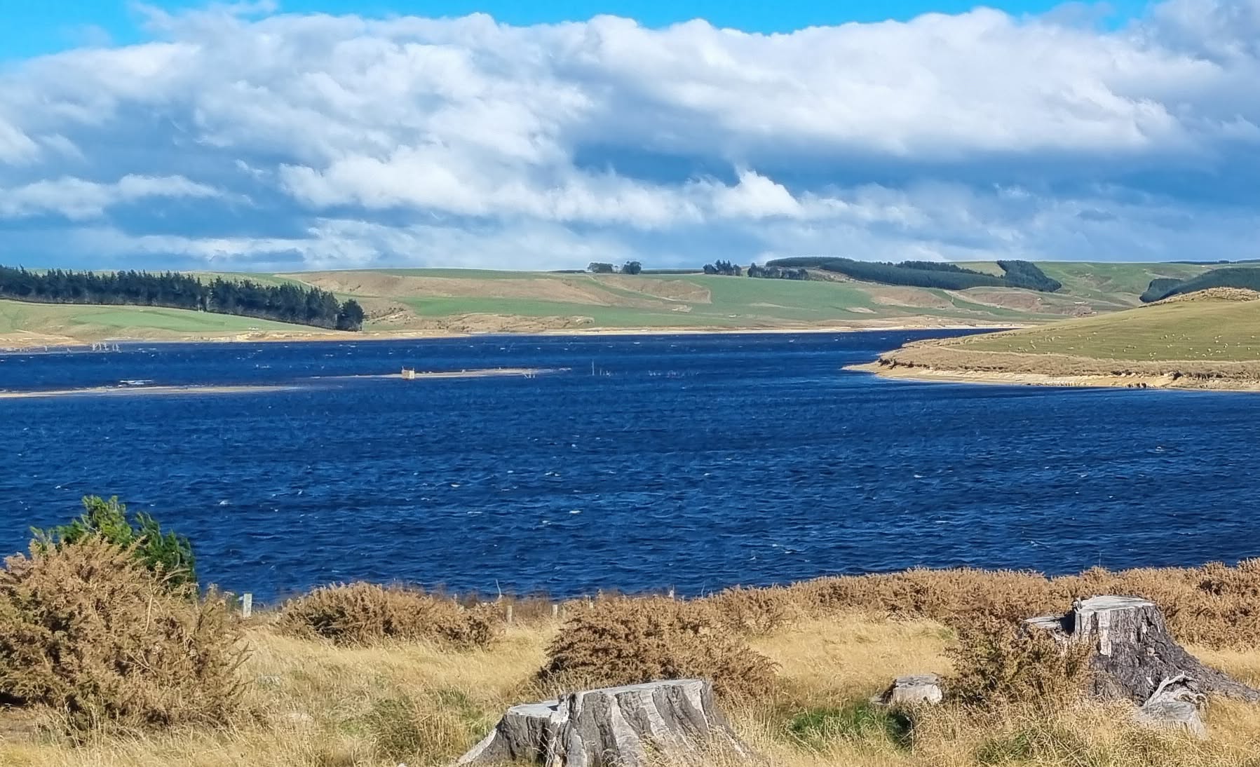 A modern view across the blue waters of Lake Mahinerangi toward rolling farmland